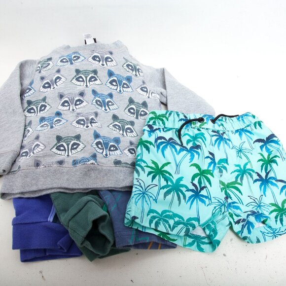 Tea Collection Baby Boy 9–12M Clothing Lot – 5-Pieces Sweatshirt, Trunks,Joggers - Picture 4 of 5